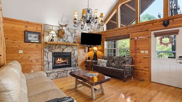 TV connectée, cheminée, jeux vidéo, livres