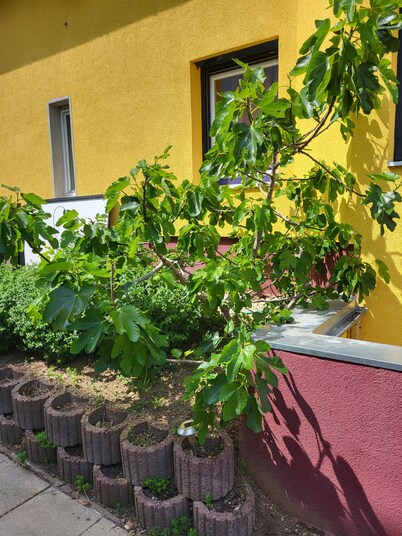 Quiet, inexpensive apartment near Schönbrunn, green, close to the city, U3/U4, kitchen, terrace, new building