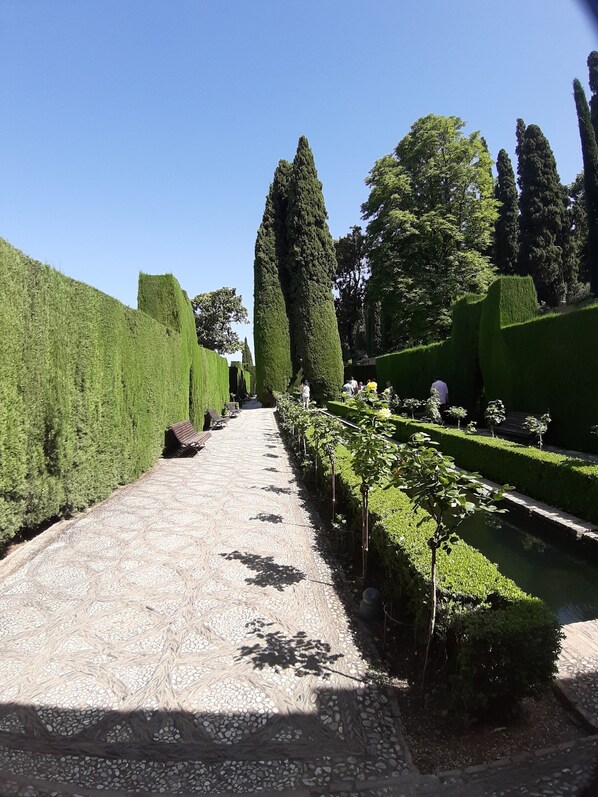 Property grounds - Explore Vienna, close to Schloss Schönbrunn, Metro U3 access to city centre! (Wien)