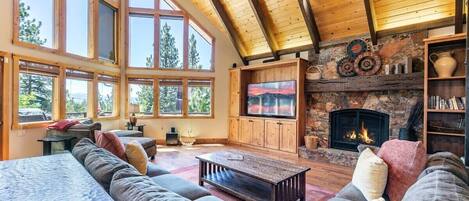 Télévision, cheminée, livres, chaîne hi-fi