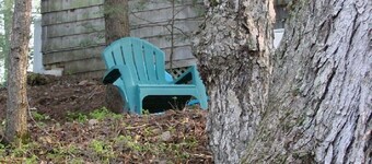 The Cabbage on Olive Street, overlooking Hayden Brook