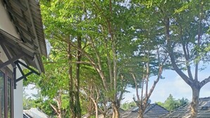 Property grounds - Greenspace Resort Phu Quoc (Phu Quoc)
