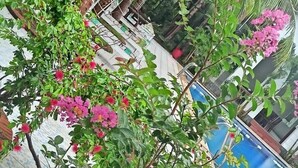 Property grounds - Greenspace Resort Phu Quoc (Phu Quoc)