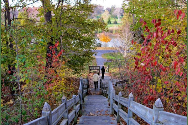Just 8 minutes away, Springbank Park offers scenic walking trails, beautiful gardens, and peaceful spots to relax. A perfect destination for a stroll or a picnic!