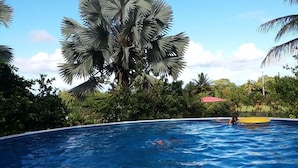 En swimmingpool omgiven av frodig grönska och palmer.