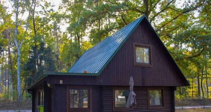 Kemp Stříbrný rybník by Interhome