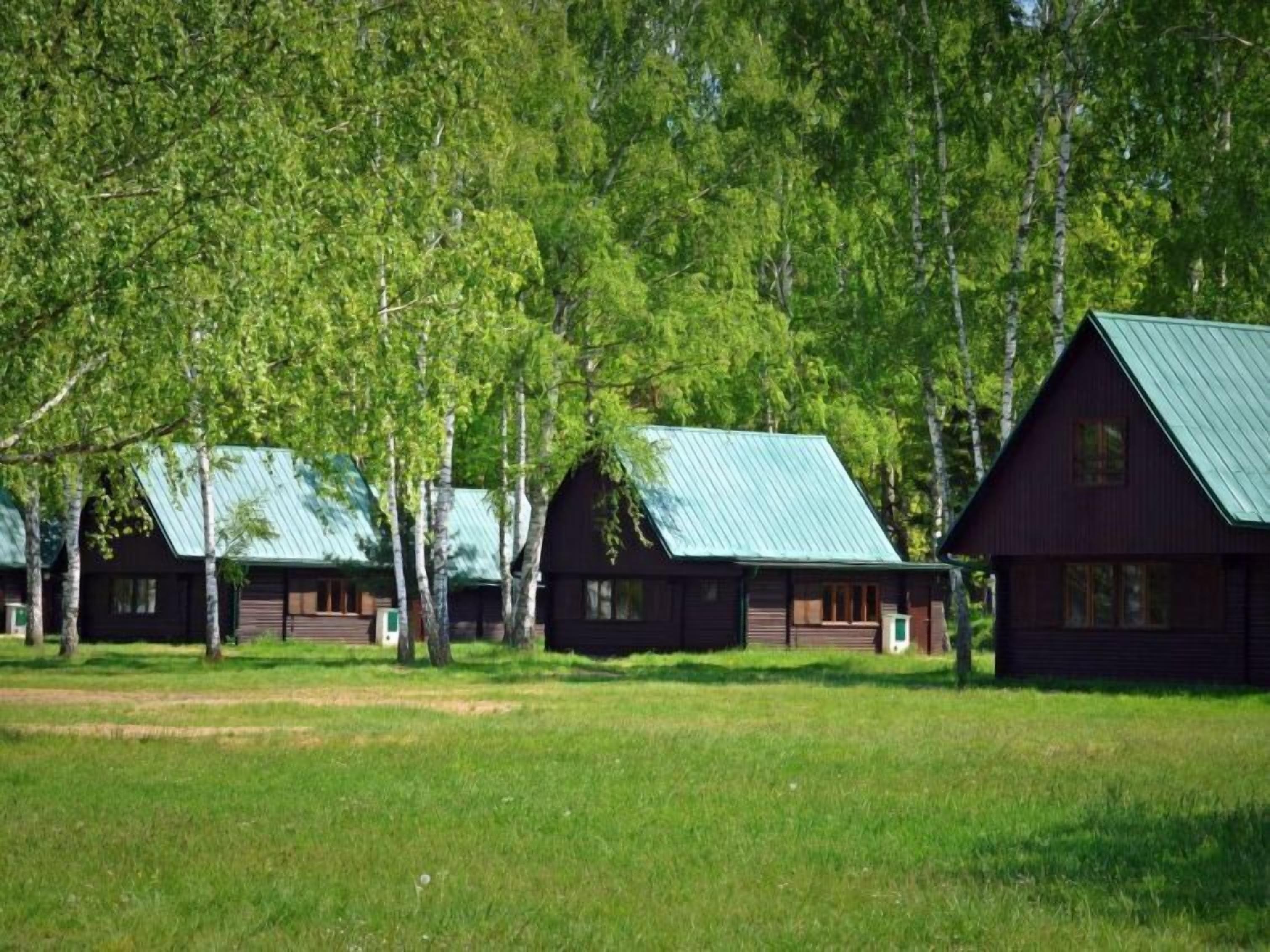 A row of cabins with metal roofs, surrounded by a grassy field and trees.