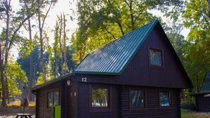 A cabin with a metal roof, numbered 12, surrounded by trees.