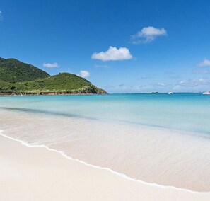 Beach - Le Palmier Bleu, Cocon Tropical, Plage & Piscines (Anse Marcel)