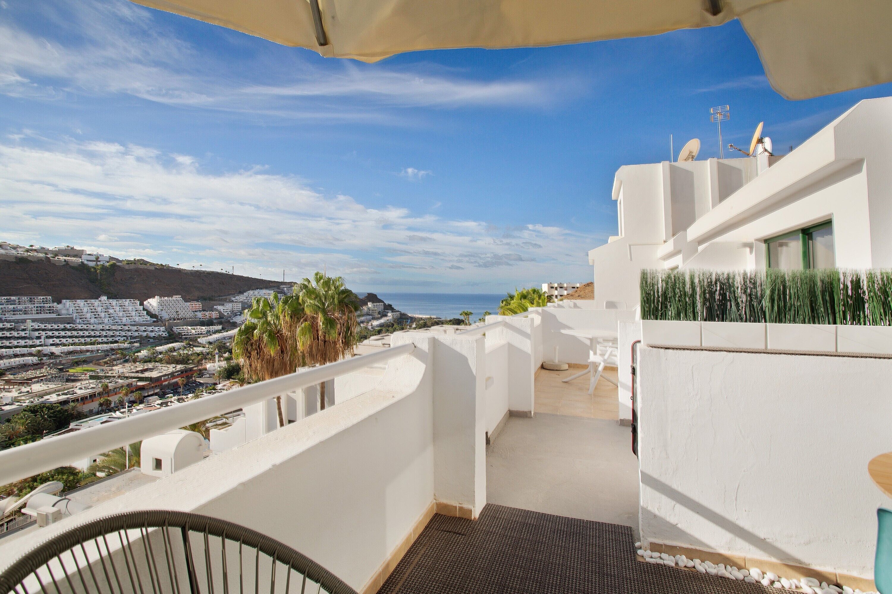 テラス / パティオ