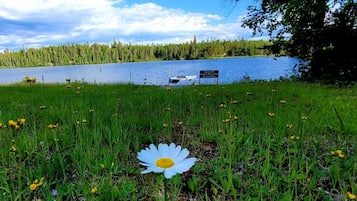 Grill-/piknikområde
