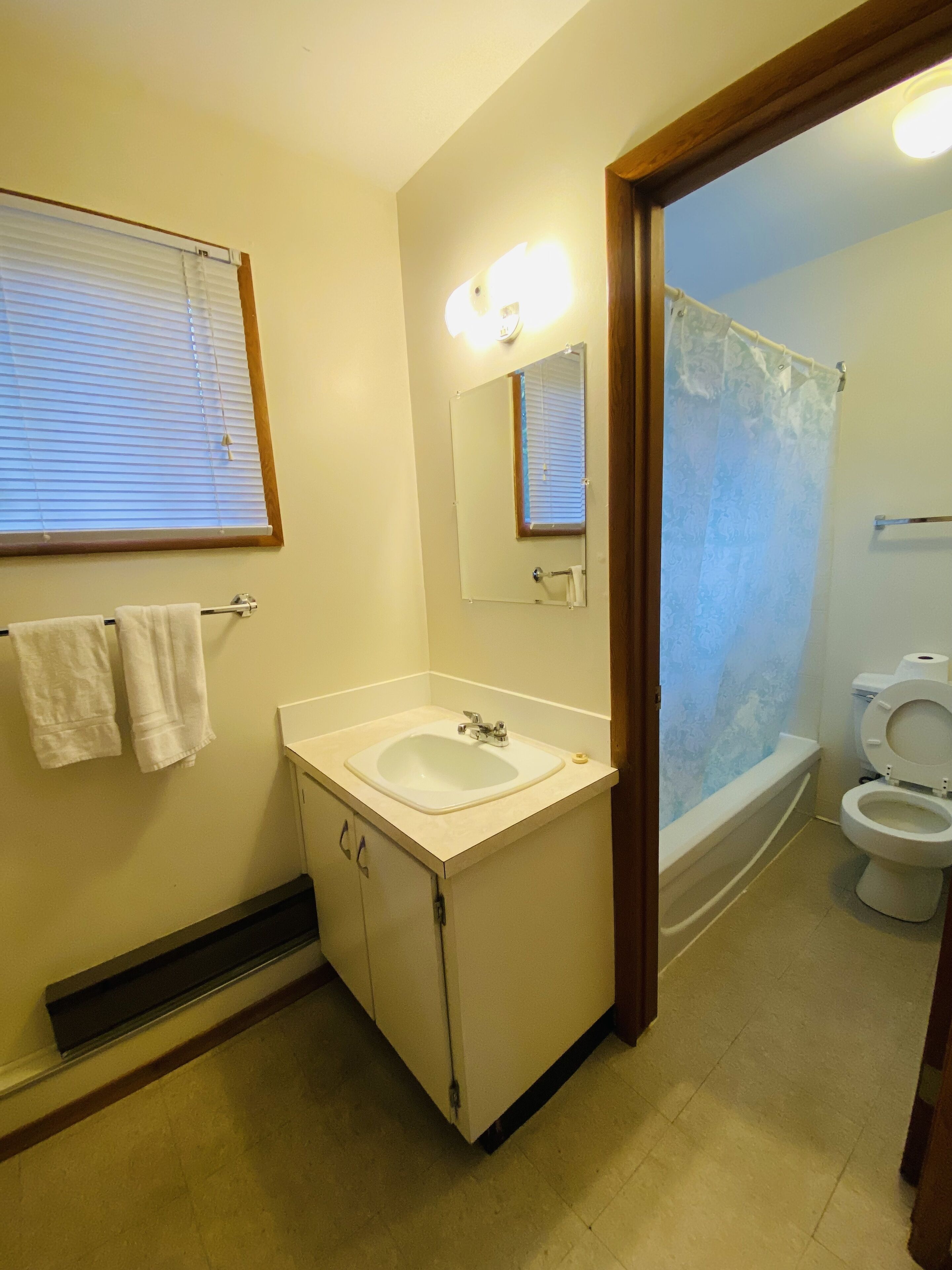 A bathroom with a sink, mirror, and toilet.