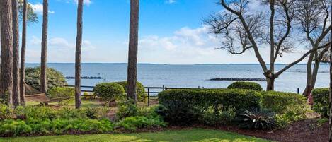 A coastal landscape with a grassy area, trees, and a view of the sea.