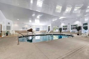 Et indendørs swimmingpool med krystalklart vand, omgivet af liggestole og potteplanter.