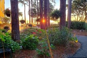 A garden with trees, plants, and a pathway.