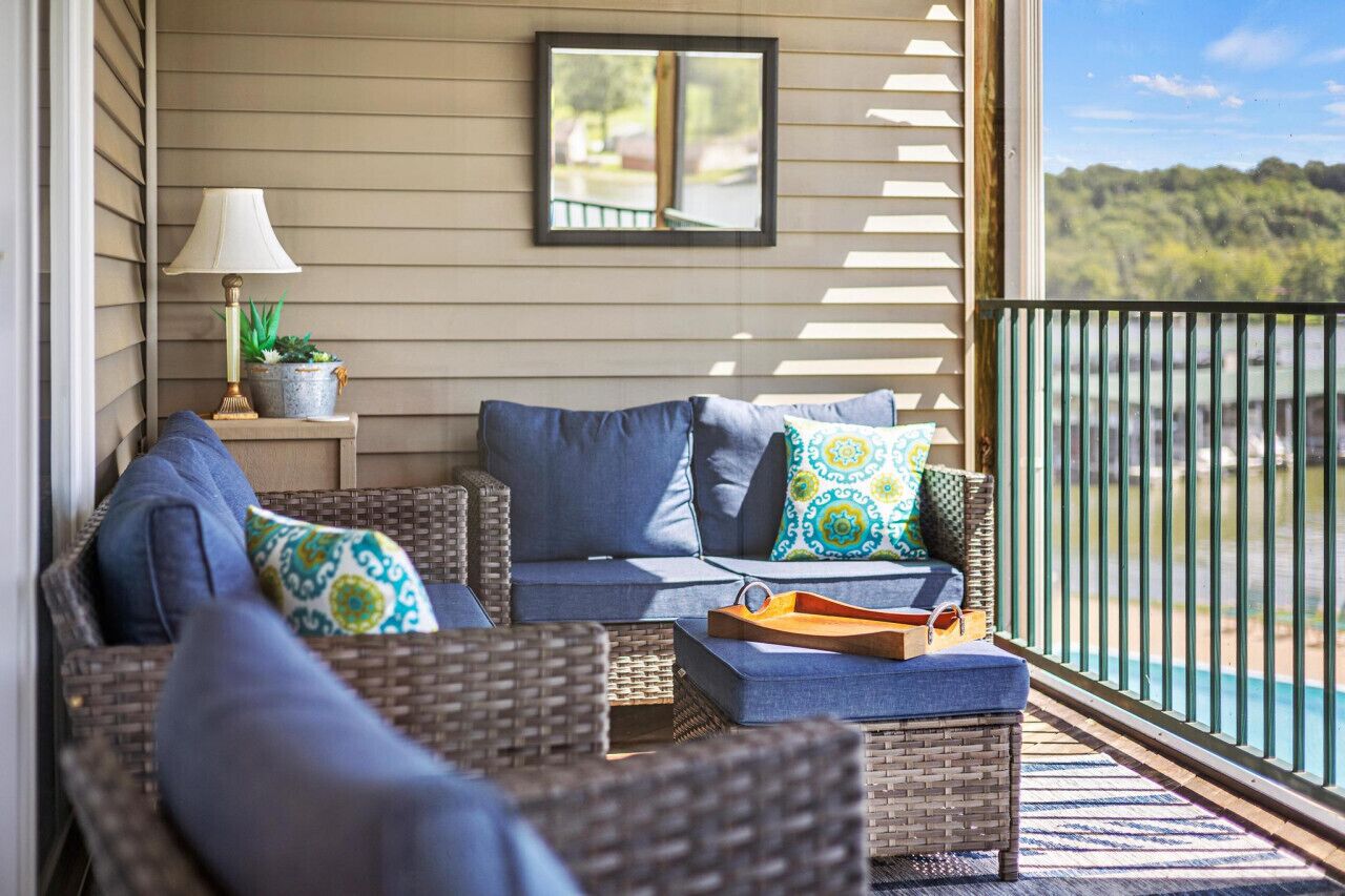 智能电视、壁炉、DVD 播放器