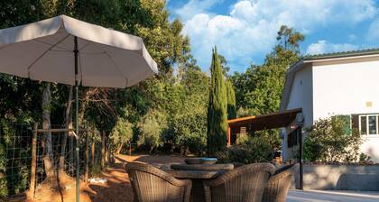 Comfy house with large garden and swimming pool