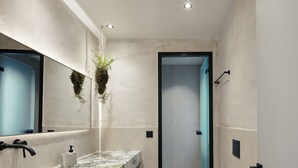Uma casa de banho moderna com bancada de mármore, uma planta pendurada e zona de duche visível.