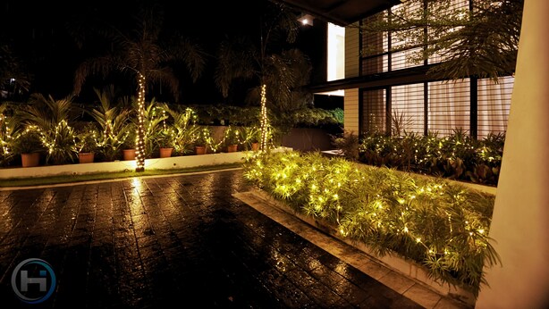 Een terras buiten, verlicht met lichtjes en omringd door potplanten.