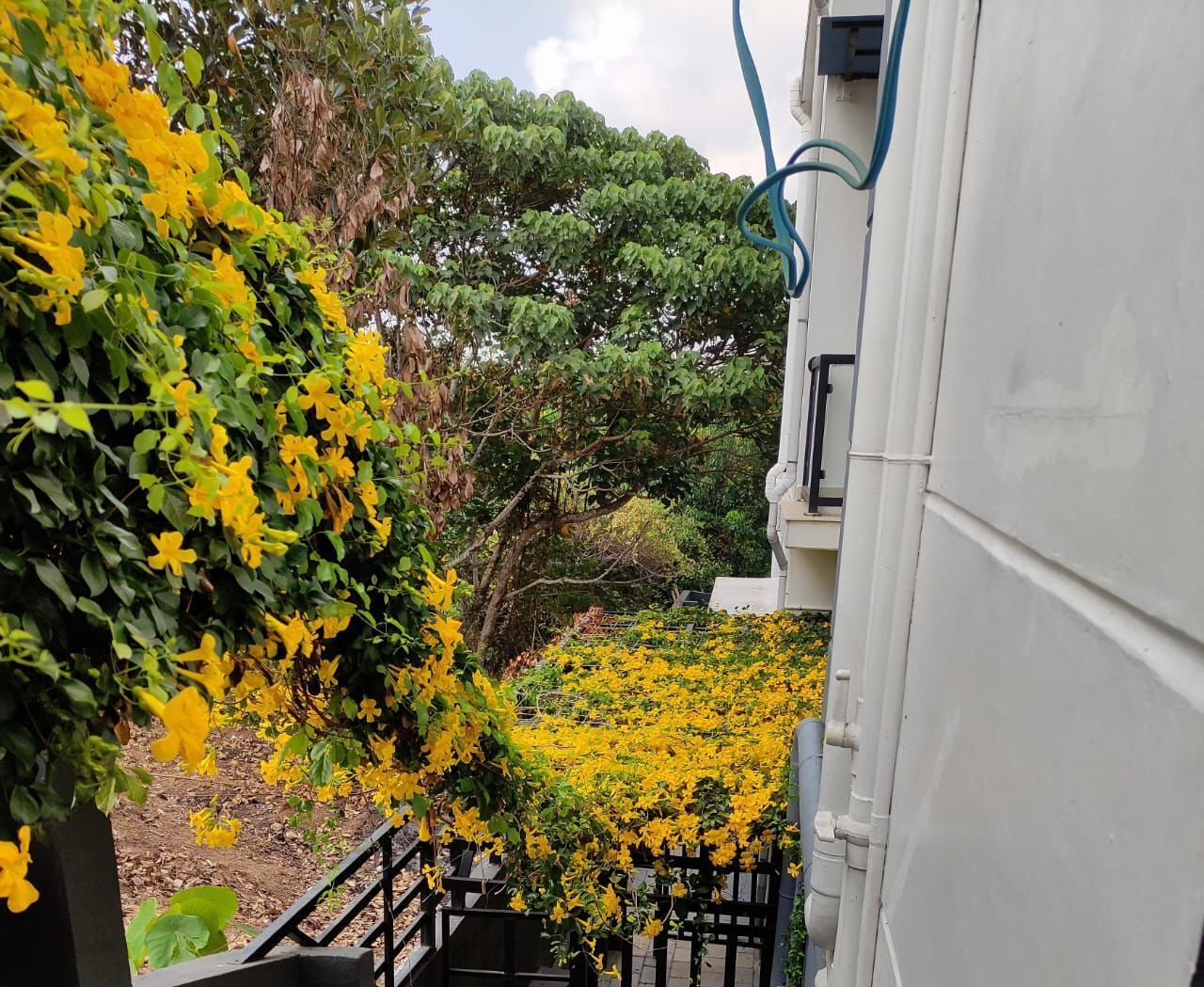 施設の敷地