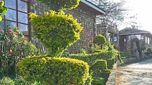Un jardin avec différentes espèces de plantes et un bâtiment en arrière-plan.