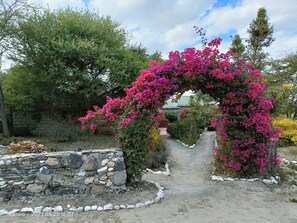 Exterior - Masai Eco Lodge (Bisil)