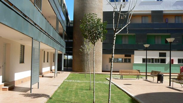 A courtyard with a central tree, benches, and a building with multiple windows and balconies.