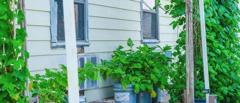 Näkymä majoituspaikasta