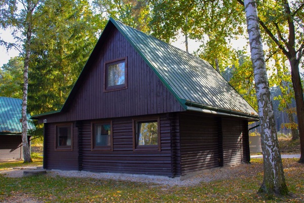 Plante, Bâtiment, Arbre, Bois, Maison, Fenêtre, Biome, Chalet, Paysage Naturel, Herbe