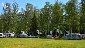 A campground with multiple RVs and tents, surrounded by tall trees.