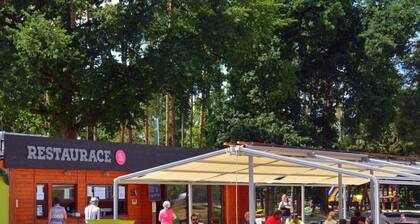 Beautiful apartment in villa for 4 people with A/C, WIFI, TV, patio and pets allowed