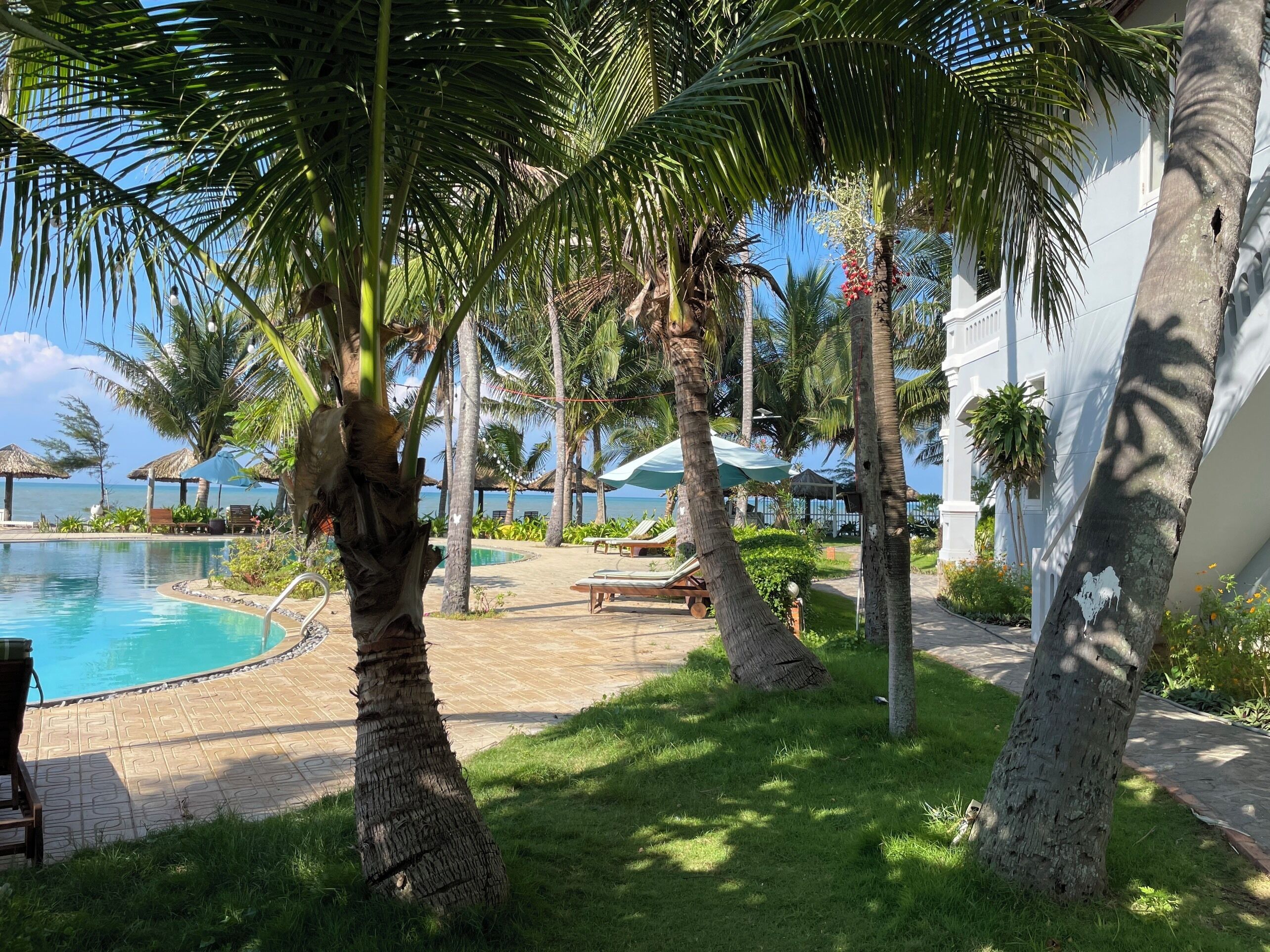 A poolside area with lounge chairs, palm trees, and a view of the ocean.