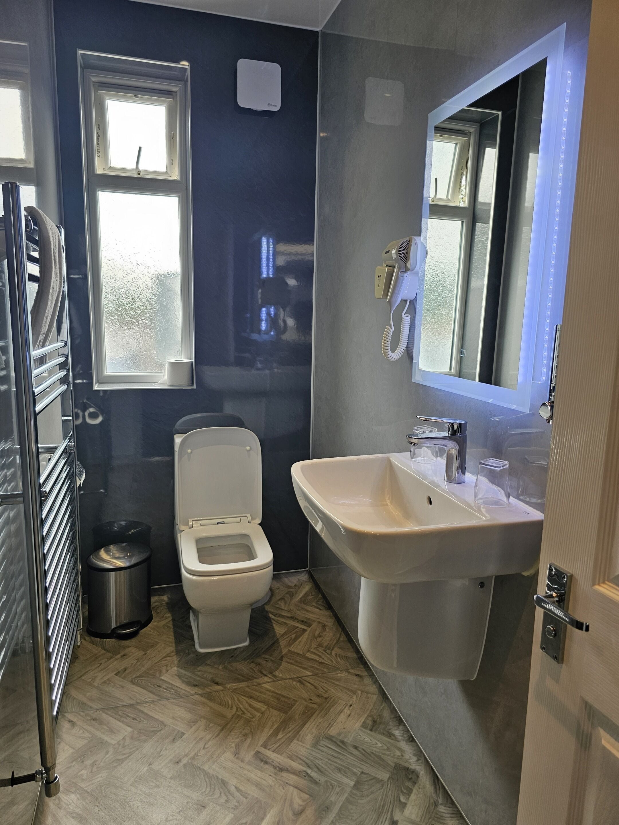 Photo - Casuarina Tree