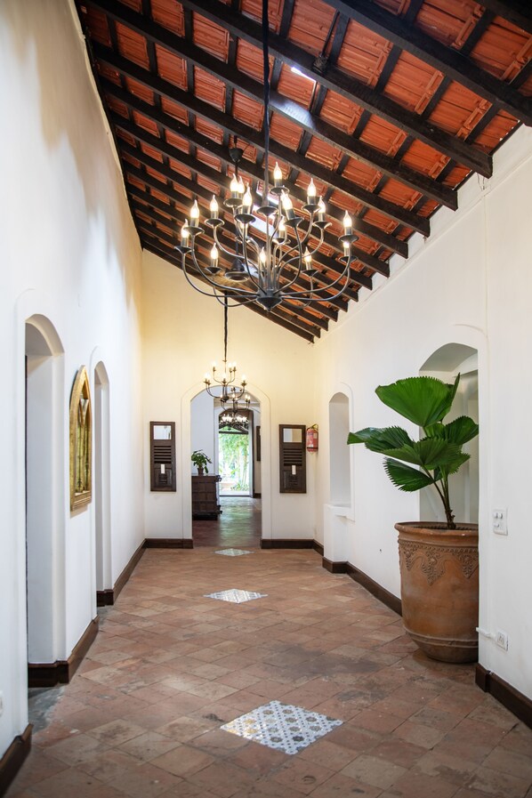 A hallway with a tiled floor, a large potted plant, and a chandelier.