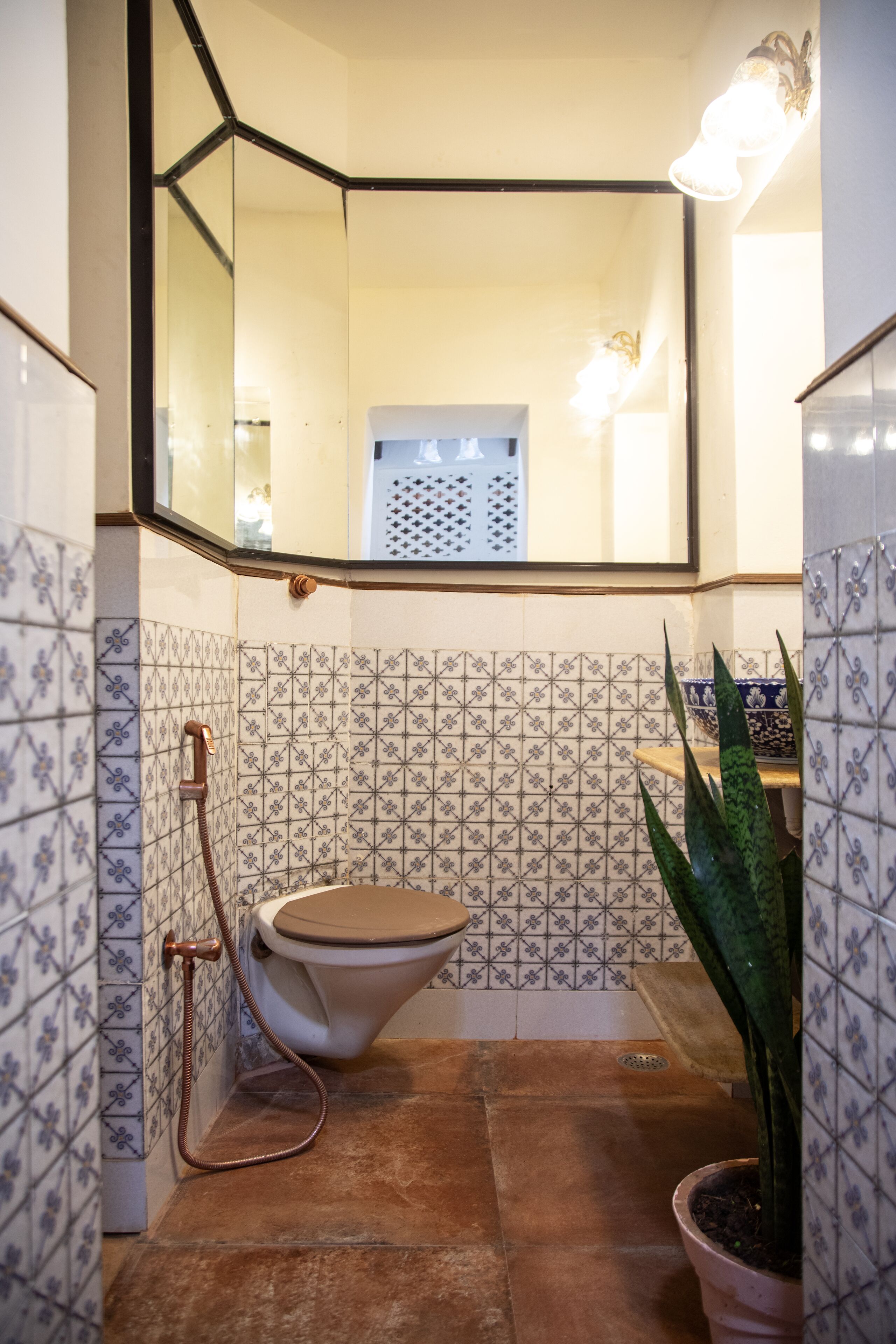 A bathroom with a corner toilet, a shower, and a potted plant.