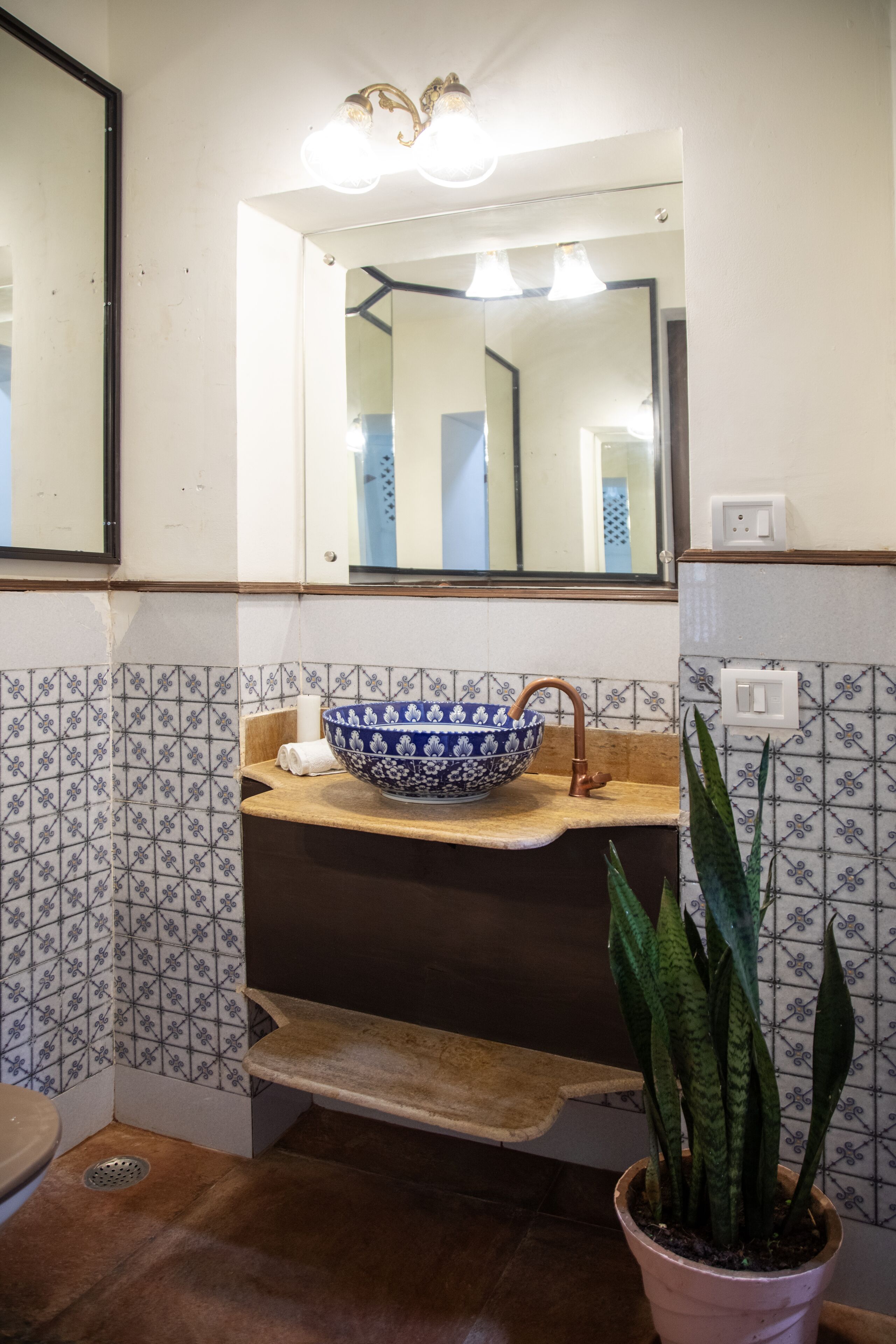 A bathroom with a blue and white ceramic sink, a wooden countertop, a mirror above the sink, and a potted plant.