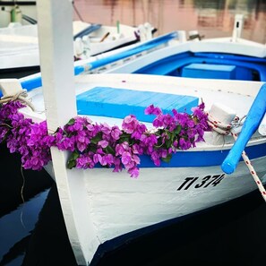 Miscellaneous - Peacefull House Ružmarin (Jezera)