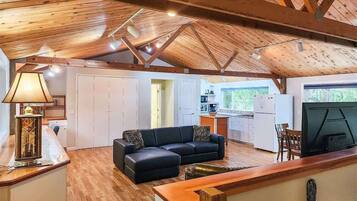 Televisio, takka, työhuone