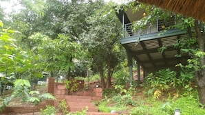 Una escalera conduce a un espacio exterior cubierto, rodeado de abundante vegetación y árboles.