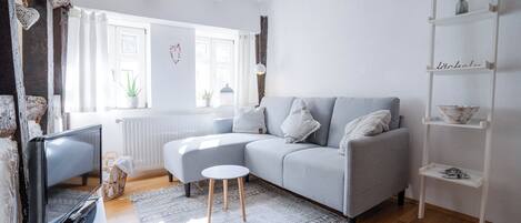 Fernseher, Videothek