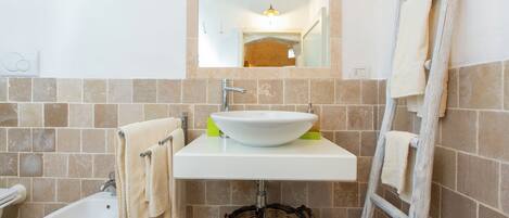 Shower, hair dryer, bidet, towels