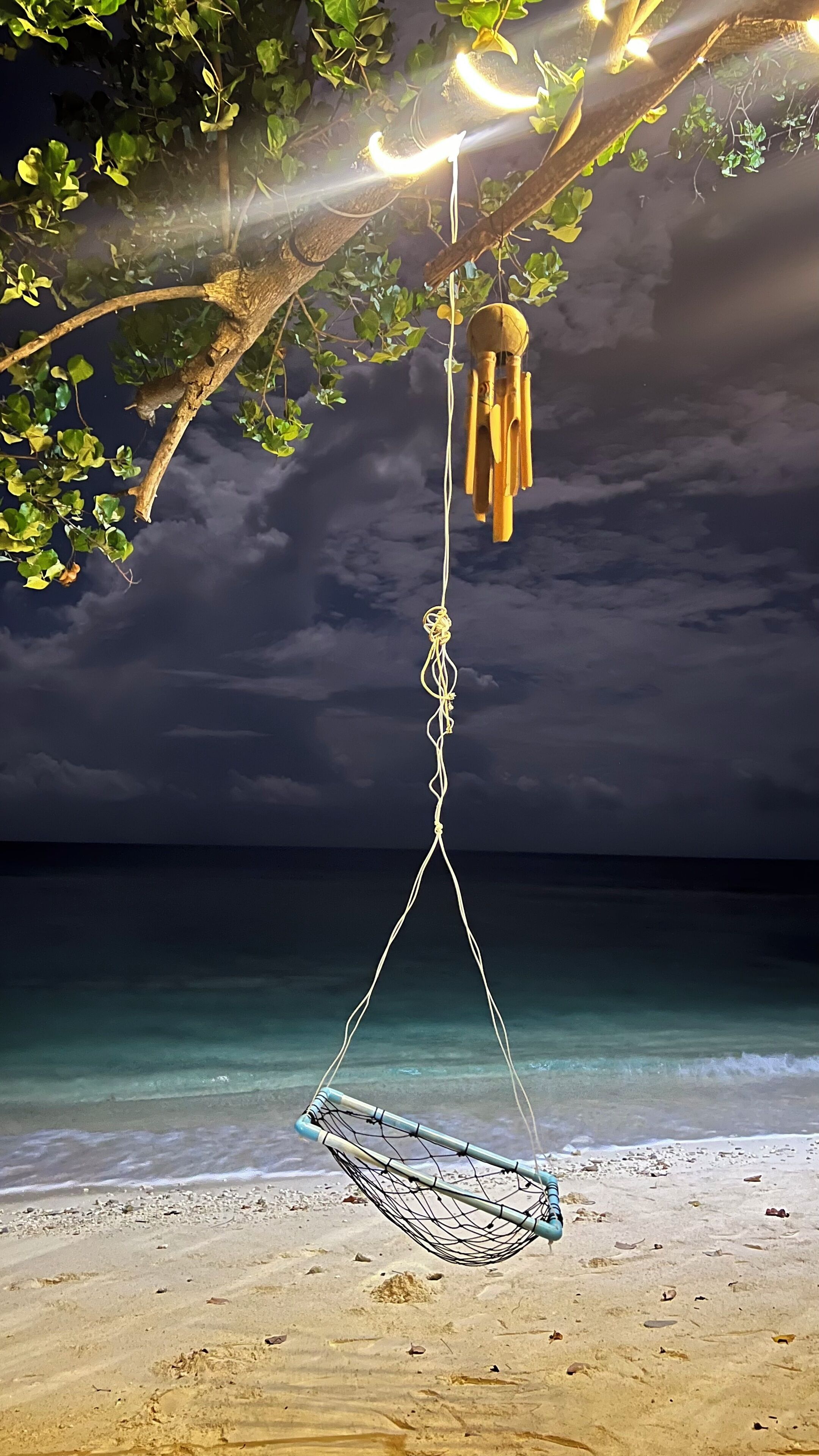 A hammock hanging from a tree on a beach with a view of the ocean.