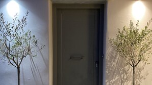 A front door with two potted trees on either side, a doormat, and a light fixture above the door. - Villa Cycladic View Syros  (Azolimnos Syros)