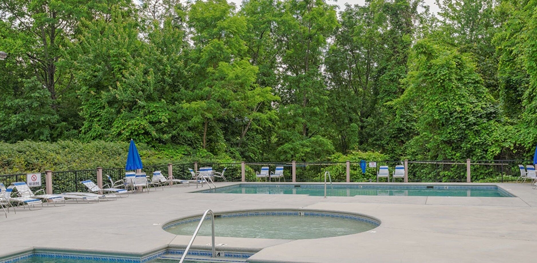 Un espace piscine doté de chaises longues et de parasols, entouré d’arbres.