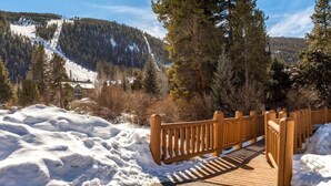 A wooden boardwalk leading to a mountainous area with snow-covered slopes and dense forests.