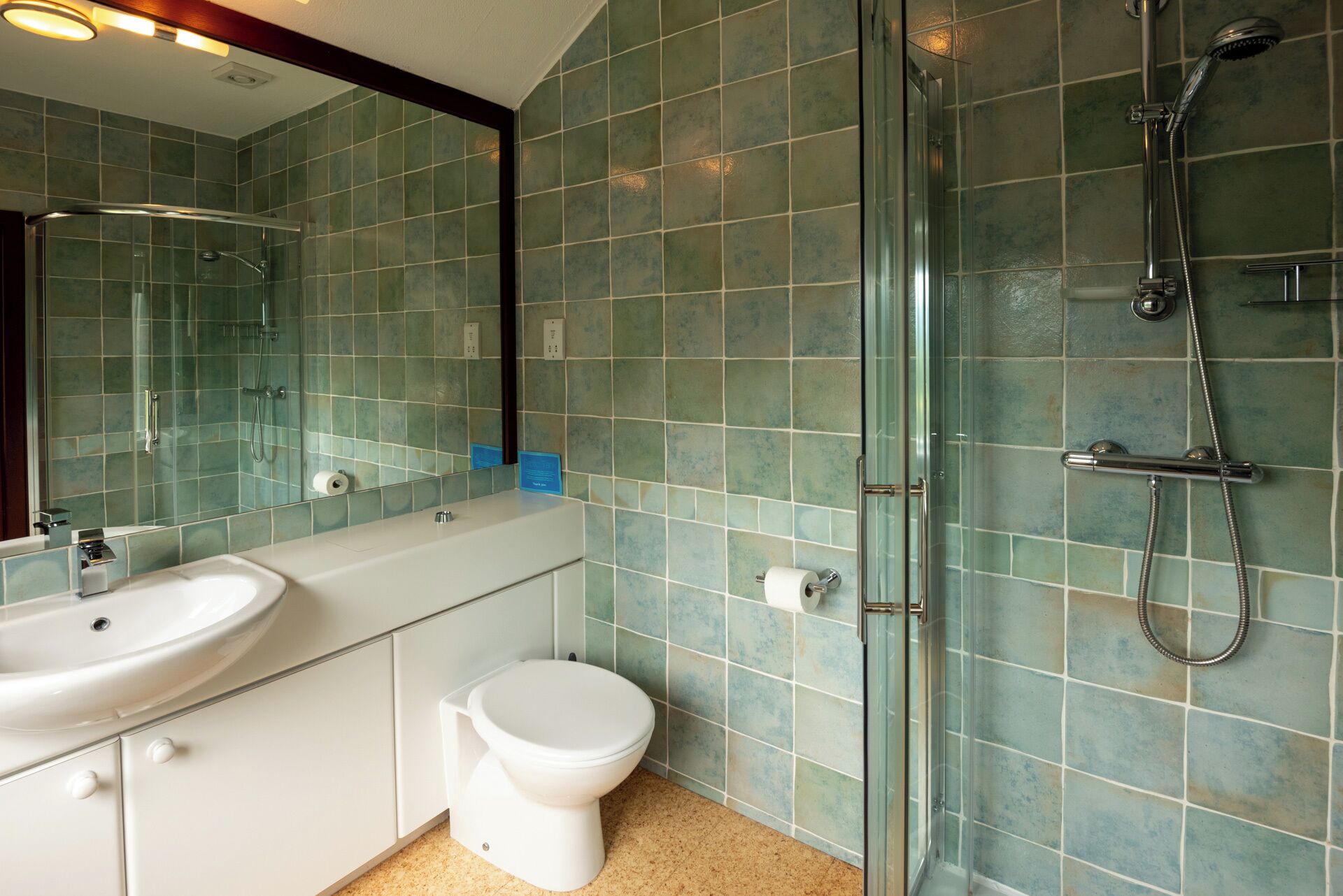 A bathroom with a glass-enclosed shower, a white sink, and a toilet.