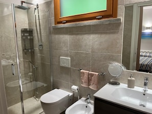 Shower, hair dryer, bidet, towels