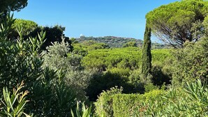 A lush garden with various trees and shrubs, a clear blue sky, and a distant hill with buildings. - HOUSE OLEANDRI 200m from the beach (PUNTA ALA)