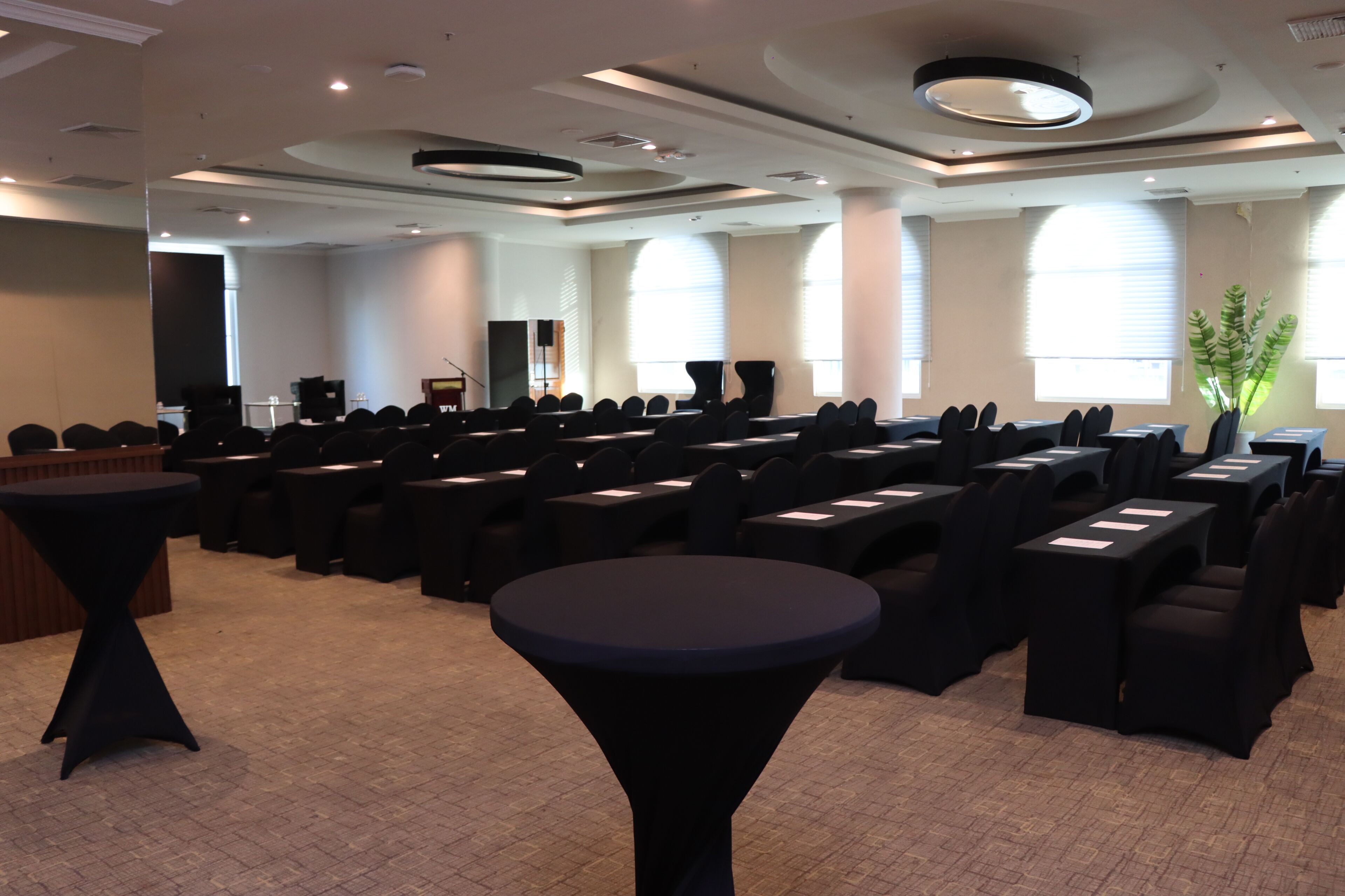 Un salón de conferencias con filas de sillas y mesas, un atril y una planta grande.