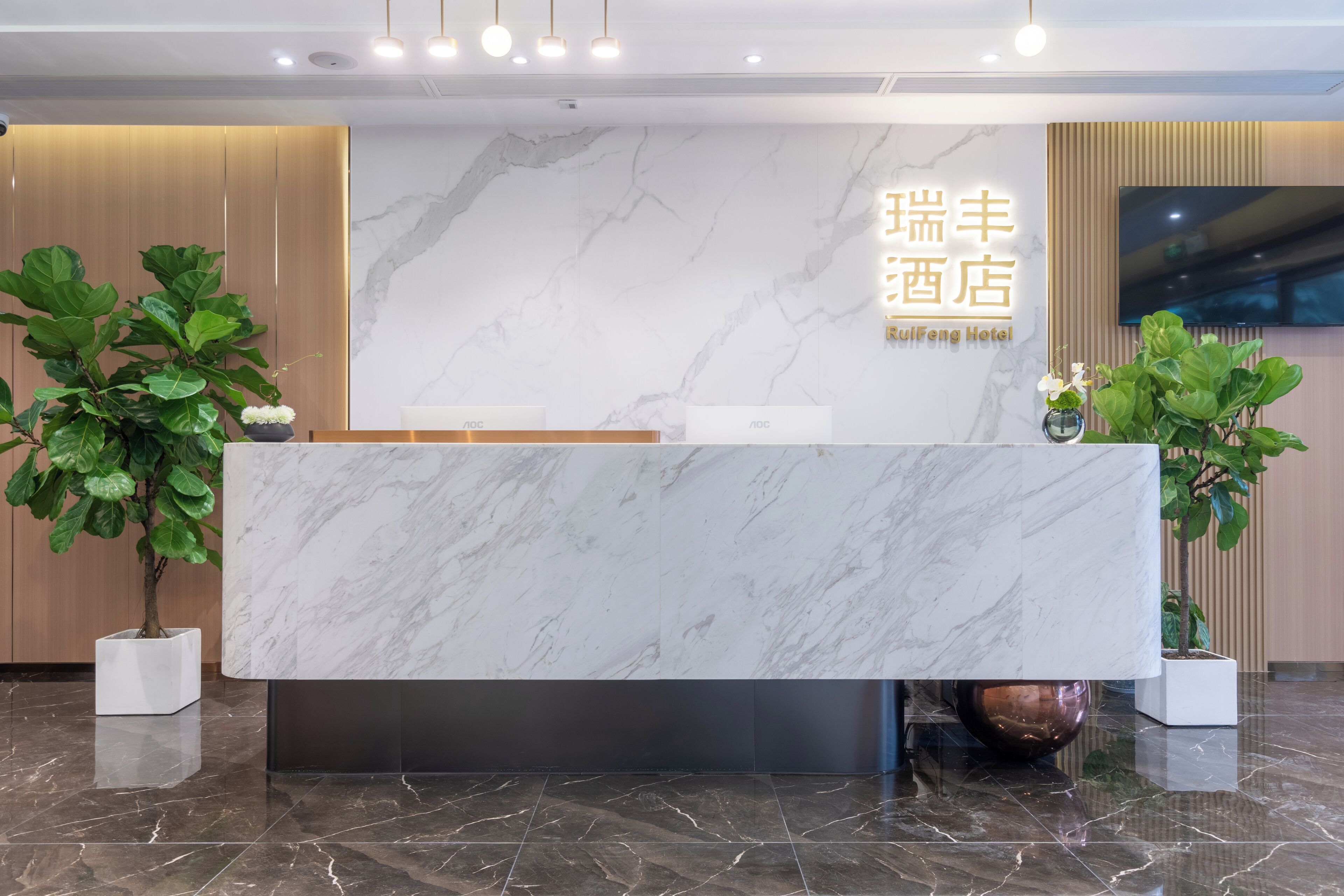 منطقة الاستقبال